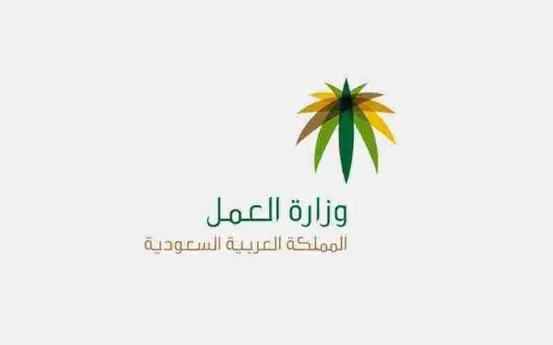 قرار هام اسعد جميع الوافدين ل السعوديةيتعلق بالرواتب .. هل سيتم مضاعفتها؟ تابع التقرير