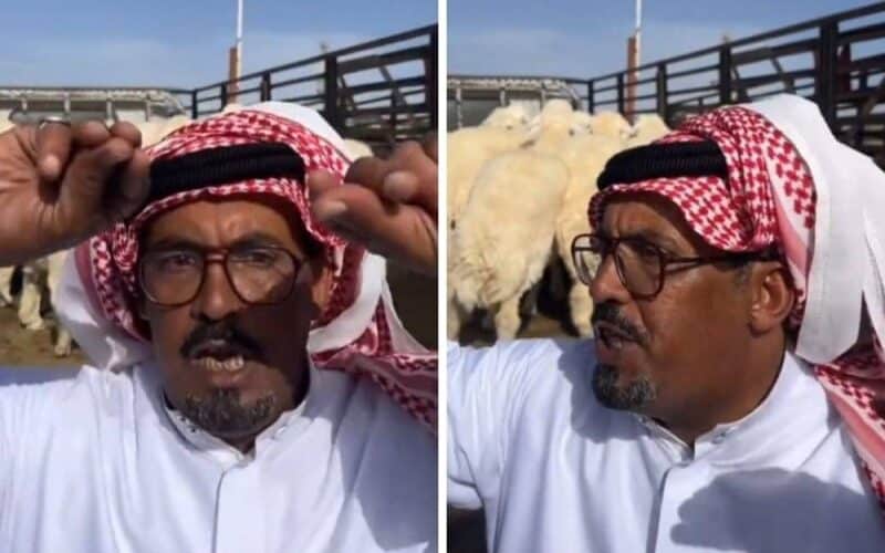 شاهد: “سعود أبو جنيه ” يحرج على عدد من” الخرفان الحرية “بالطائف.. والكشف عن سعر الخروف