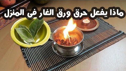 معجزة.. هذا ما يحدث عند حرق ورقة غار واحدة في المنزل لن تستغني عنها بعد اليوم