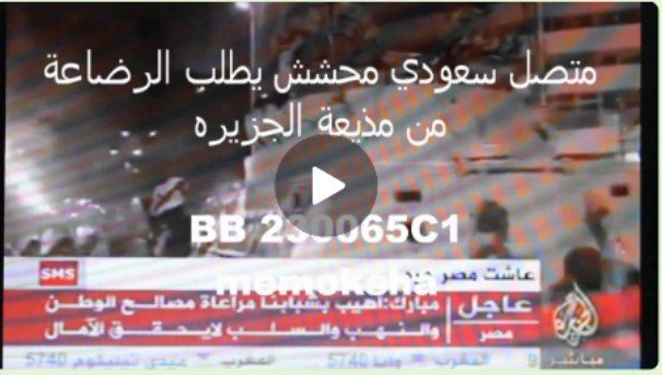 فيديد: مذيعة الجزيرة تنفجر بالبكاء بعد تلقيها اتصال من شاب سعودي… والقناة تتوعد بملاحقته!!