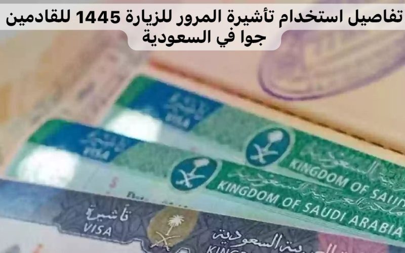 وزارة الحج والعمرة تتيح لحاملين تأشيرة زيارة اداء مناسك الحج دون رسوم..تفاصيل