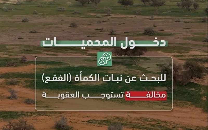 ما عقوبة دخول المحميات الطبيعية للبحث عن الفقع؟ الأمن البيئي توضح