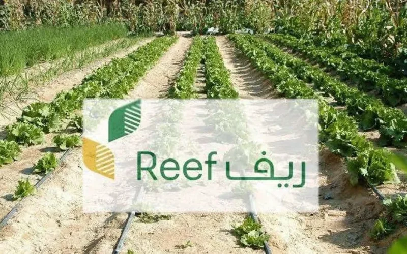 برنامج ريف السعودية.. نموذج للتنمية الريفية المستدامة وتحقيق رؤية المملكة 2030